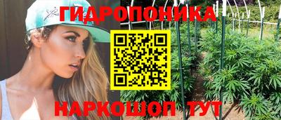 тгк Лесосибирск
