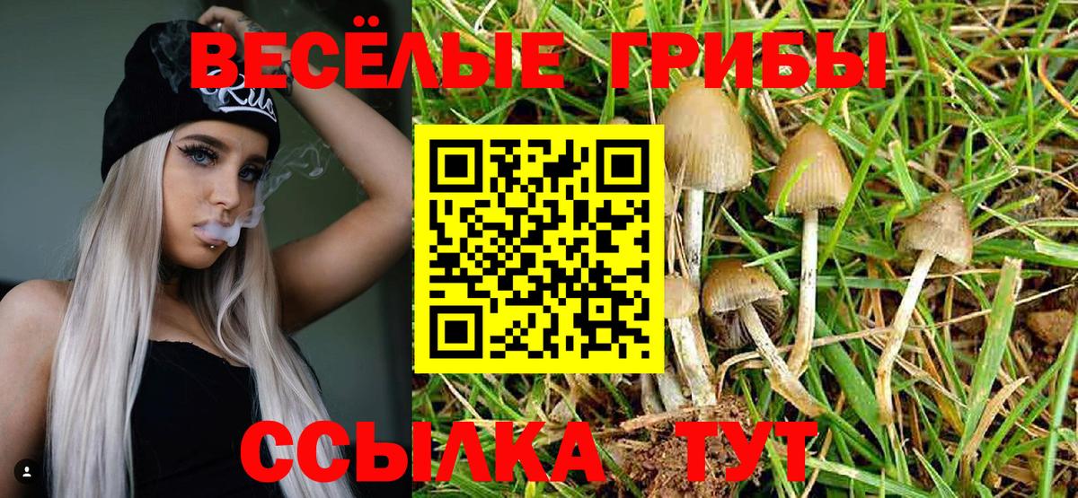 Ярославль  Галлюциногенные грибы Cubensis  Галлюциногенные грибы MAGIC MUSHROOMS  Вход с VPN 
